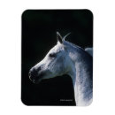 Buscar cabeza de caballo imanes Bob langrish