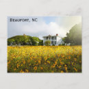 Buscar beaufort Bello