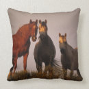 Buscar caballo árabe cojines Colocación