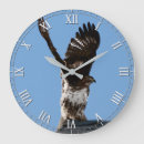 Buscar pájaro blanco relojes de pared Raptor
