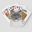 Buscar veterinario barajas de cartas Naturaleza