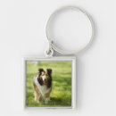 Buscar perro pastor de shetland llaveros Vertical