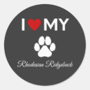 Buscar rhodesian ridgeback pegatinas Rodesia