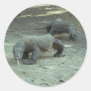 Buscar dragón de komodo pegatinas Indonesia