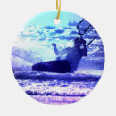 Buscar embarque de la cometa El kitesurfing