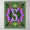 Buscar mariposa linda posters Lindo