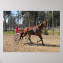 Buscar mazo Caballos
