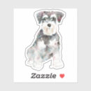 Buscar miniatura pegatinas Schnauzer en miniatura