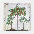 Buscar curativo imanes Robinet