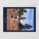 Buscar tienda de los indios norteamericanos postales Tipi