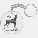 Buscar pinscher llaveros Pinscher del doberman