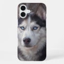 Buscar husky siberiano iphone fundas Invierno