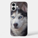 Buscar husky siberiano iphone fundas Invierno