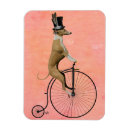 Buscar bici imanes Greyhound