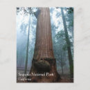 Buscar secuencial postales Naturaleza