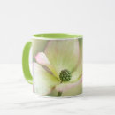 Buscar macizo tazas Macizo de flores