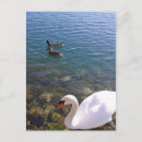 Buscar pavos postales Para todos