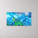 Buscar gotas de agua arte Foto