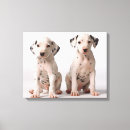 Buscar perrito dálmata Dalmatian
