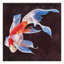 Buscar peces posters Naranja