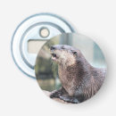Buscar hilarante fotografía Adorable