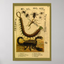 Buscar escorpión posters Vintage