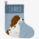 Buscar raza del perro calcetines navideños Lindo