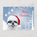 Buscar navidad shih tzu postales Navidades