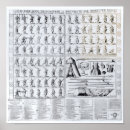 Buscar armadura arte Heraldry