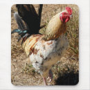 Buscar gallos alfombrillas de raton 1 ᵉʳ explotación
