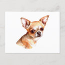 Buscar chihuahuas postales Para todos