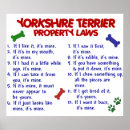 Buscar yorkshire terrier dog posters Dogs