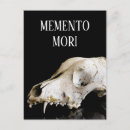 Buscar cráneo animal postales Esqueleto