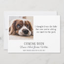 Buscar perros divertidos invitaciones Para todos