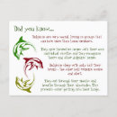 Buscar delfín lindo postales Para niños