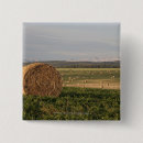 Buscar bal chapas Horizontal