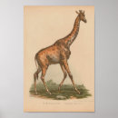 Buscar natura arte Vintage