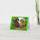 Buscar dachsie tarjetas Perrito dachshund