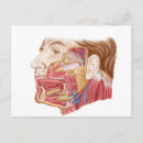 Buscar anatomía humana postales Parte de