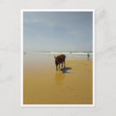 Buscar mediterráneo postales General y unisex