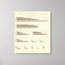 Buscar nacionalidades posters Diagrama