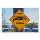 Buscar ciudades americanas posters Florida