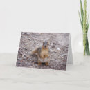 Buscar amor loco tarjetas Amante