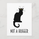 Buscar le chat noir postales Divertido