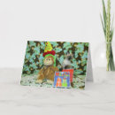 Buscar gato siamés tarjetas Gatito