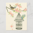 Buscar nancy postales Langosta de nancy