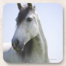 Buscar cabeza de caballo posavasos Blanco