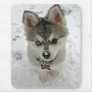 Buscar husky siberiano alfombrillas de raton Cachorro
