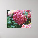 Buscar rosey Flores