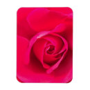 Buscar subió imanes Flor